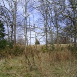 DSC00406