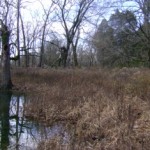 DSC00428