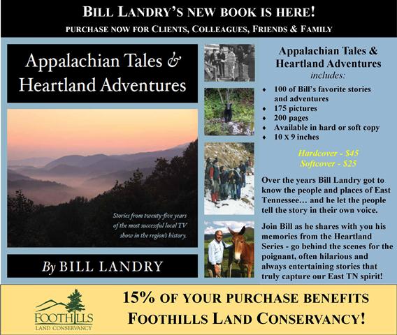 Blog Image Landry Promo