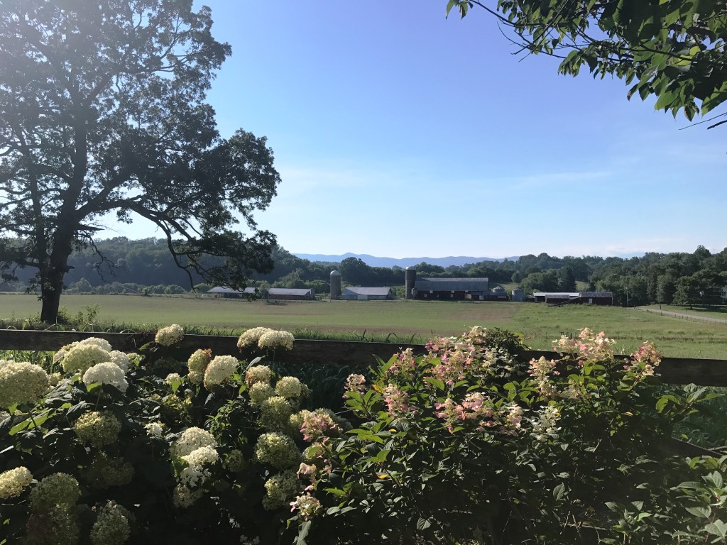 IMG_6645 Foothills Land Conservancy