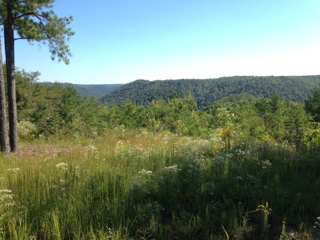 Sweeping View Foothills Land Conservancy