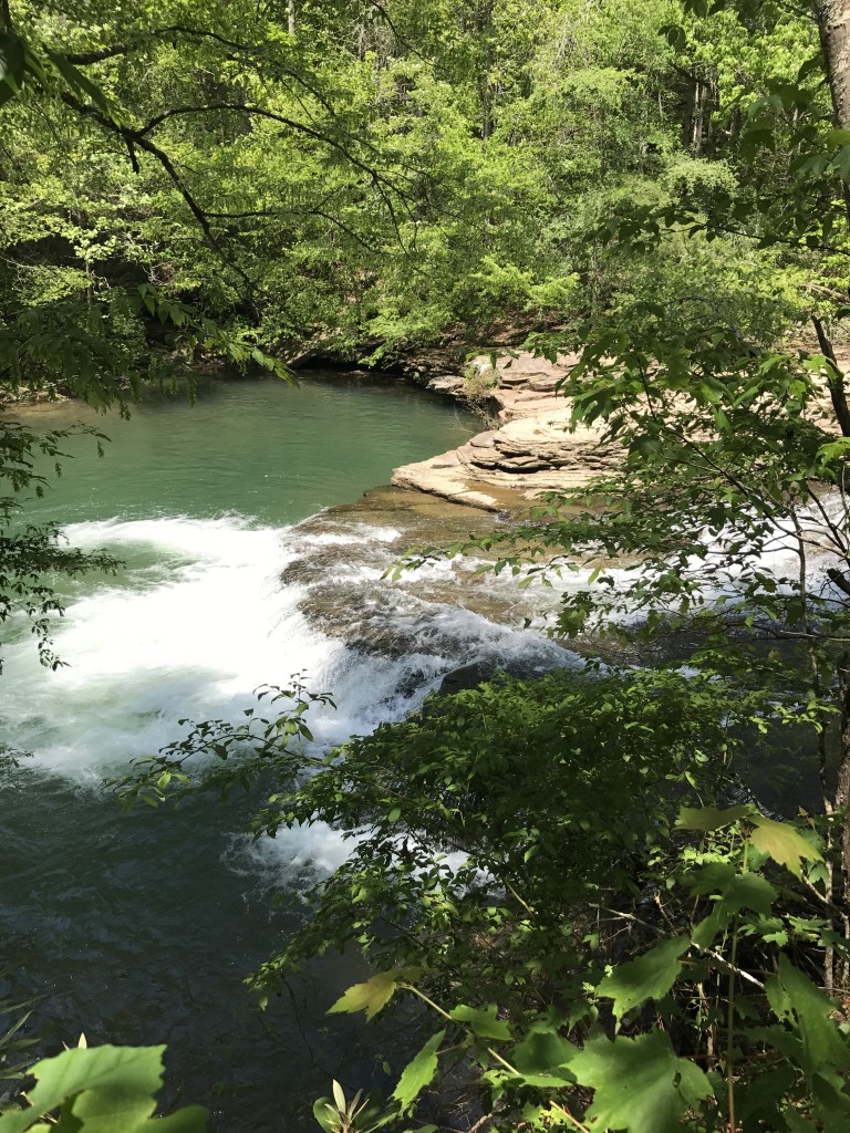 In 2017, FLC received a land donation of 1,000 acres in Roane County - a beautiful property with creeks, woodlands and scenic views. This is a staff photo of a spillway along Piney Creek.  A portion of Piney Creek and White?s Creek are located inside the property boundaries and are considered a high priority conservation area by the TN State Wildlife Action Plan. Click here to read more about this land donation.