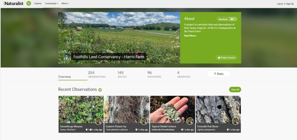 Link to FLC's iNaturalist page. 